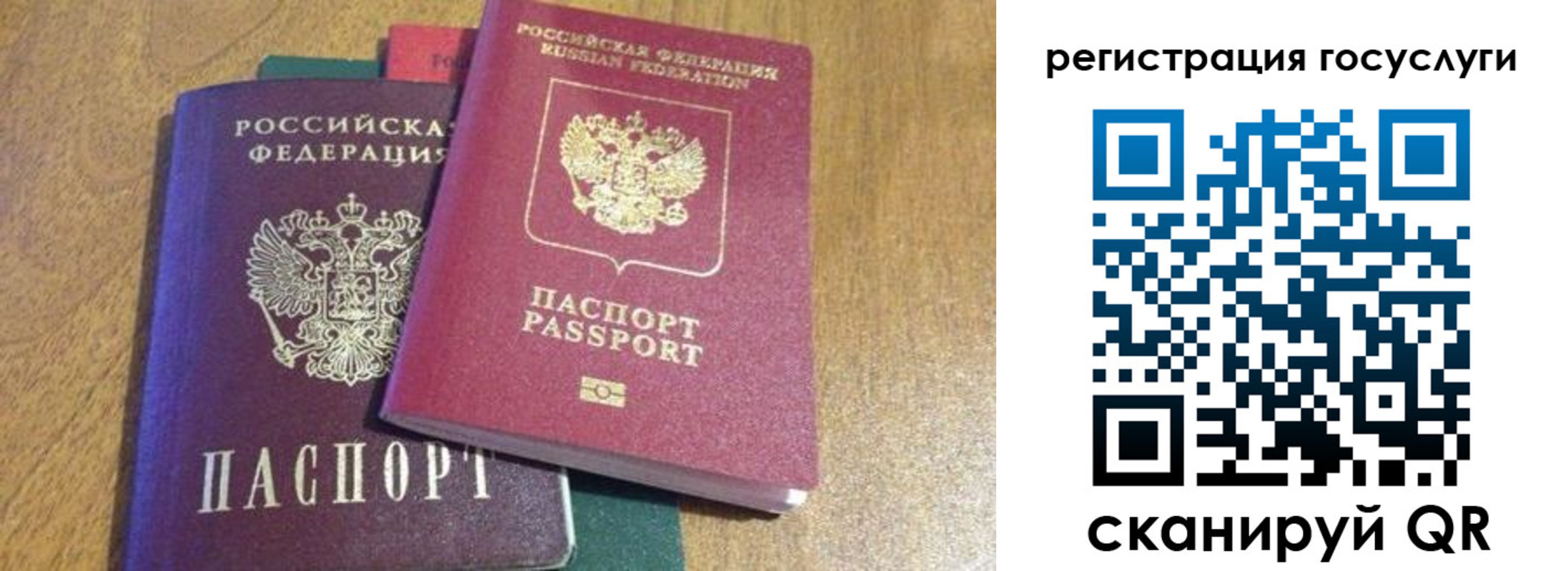 временная регистрация поиск в Павловске